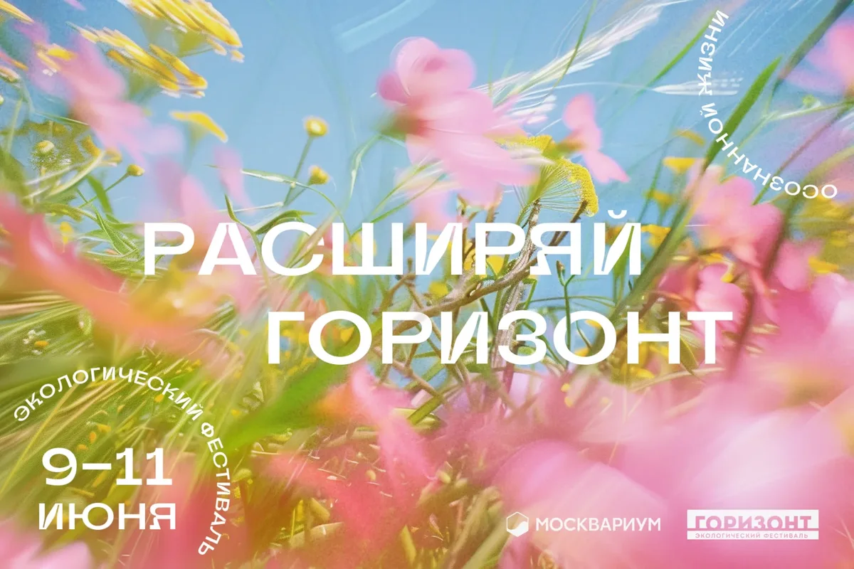 Арт-дирекшн — избранные работы